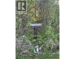 328 Drurys Cove Road, Drurys Cove, NB E4E3L6 Photo 41