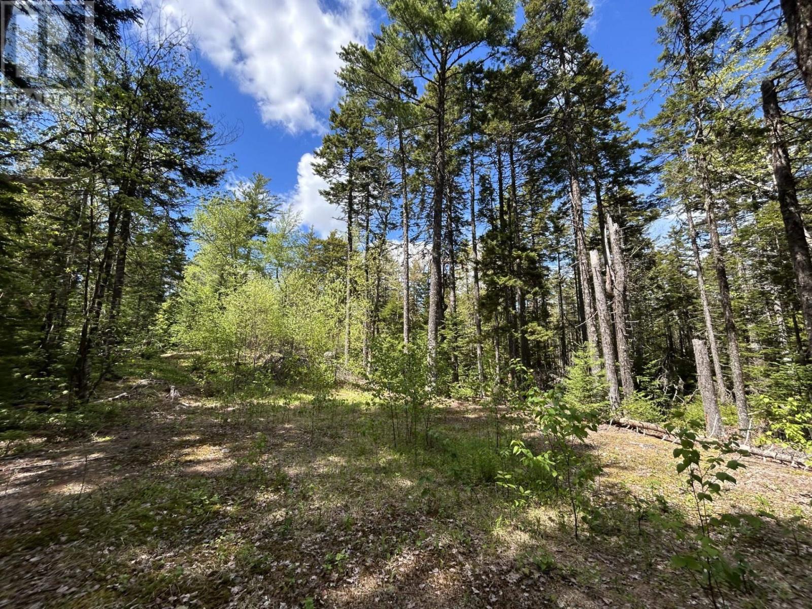 Property 4 of 11 of Lot 116 Village Road