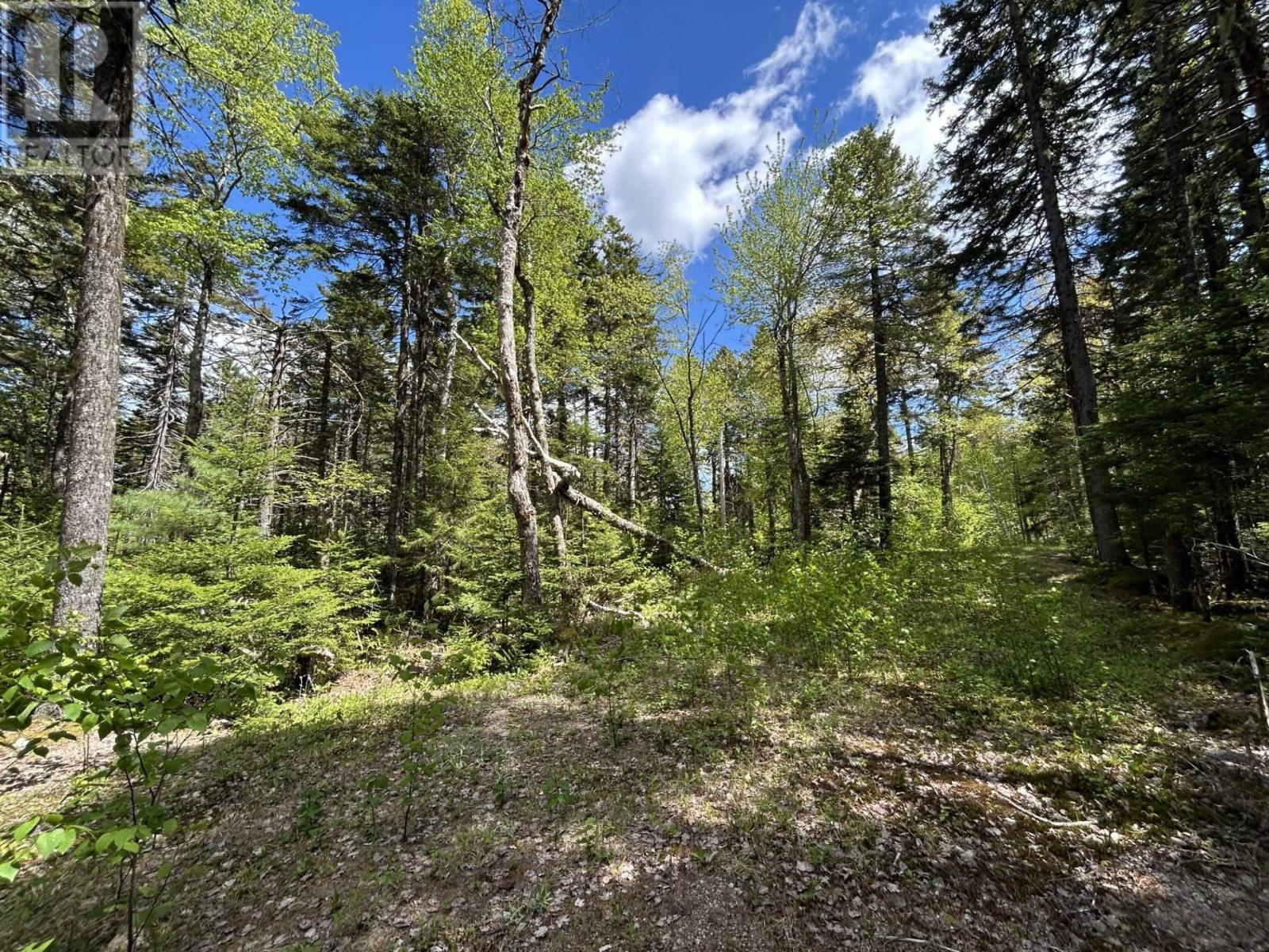 Property 2 of 11 of Lot 116 Village Road