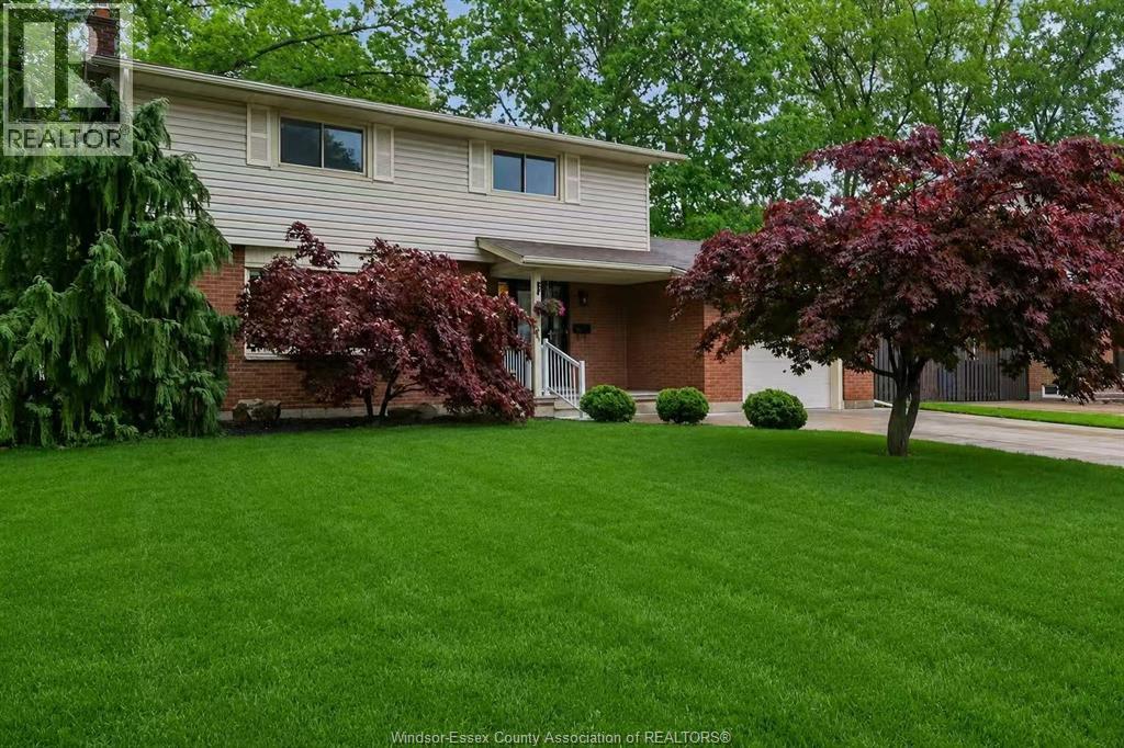 3360 ST. PATRICK'S - Image 2