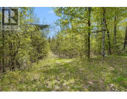 174 Moon Line Road N, Trent Lakes, ON K0M1A0 Photo 12