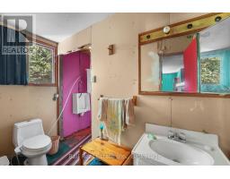 174 Moon Line Road N, Trent Lakes, ON K0M1A0 Photo 16