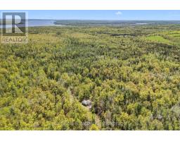 174 Moon Line Road N, Trent Lakes, ON K0M1A0 Photo 7