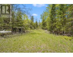 174 Moon Line Road N, Trent Lakes, ON K0M1A0 Photo 28