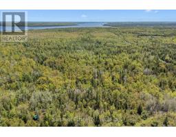 174 Moon Line Road N, Trent Lakes, ON K0M1A0 Photo 8