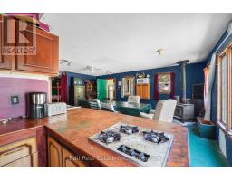 174 Moon Line Road N, Trent Lakes, ON K0M1A0 Photo 26