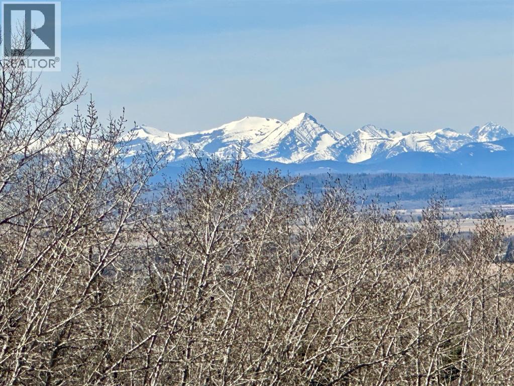 237 Escarpment Drive - 49