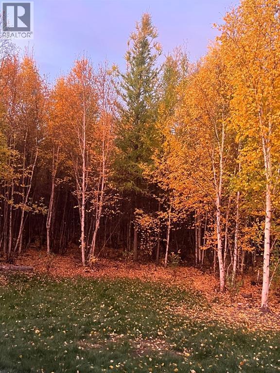 14253 TWP RD 1051A — photo 32
