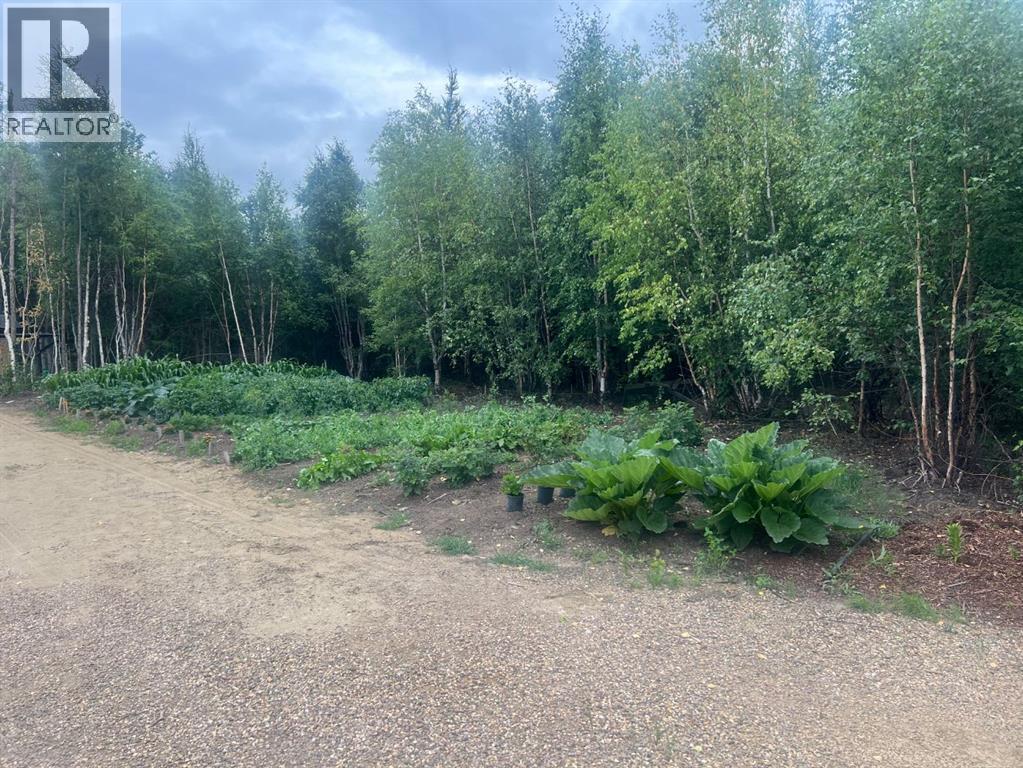 14253 TWP RD 1051A — photo 29