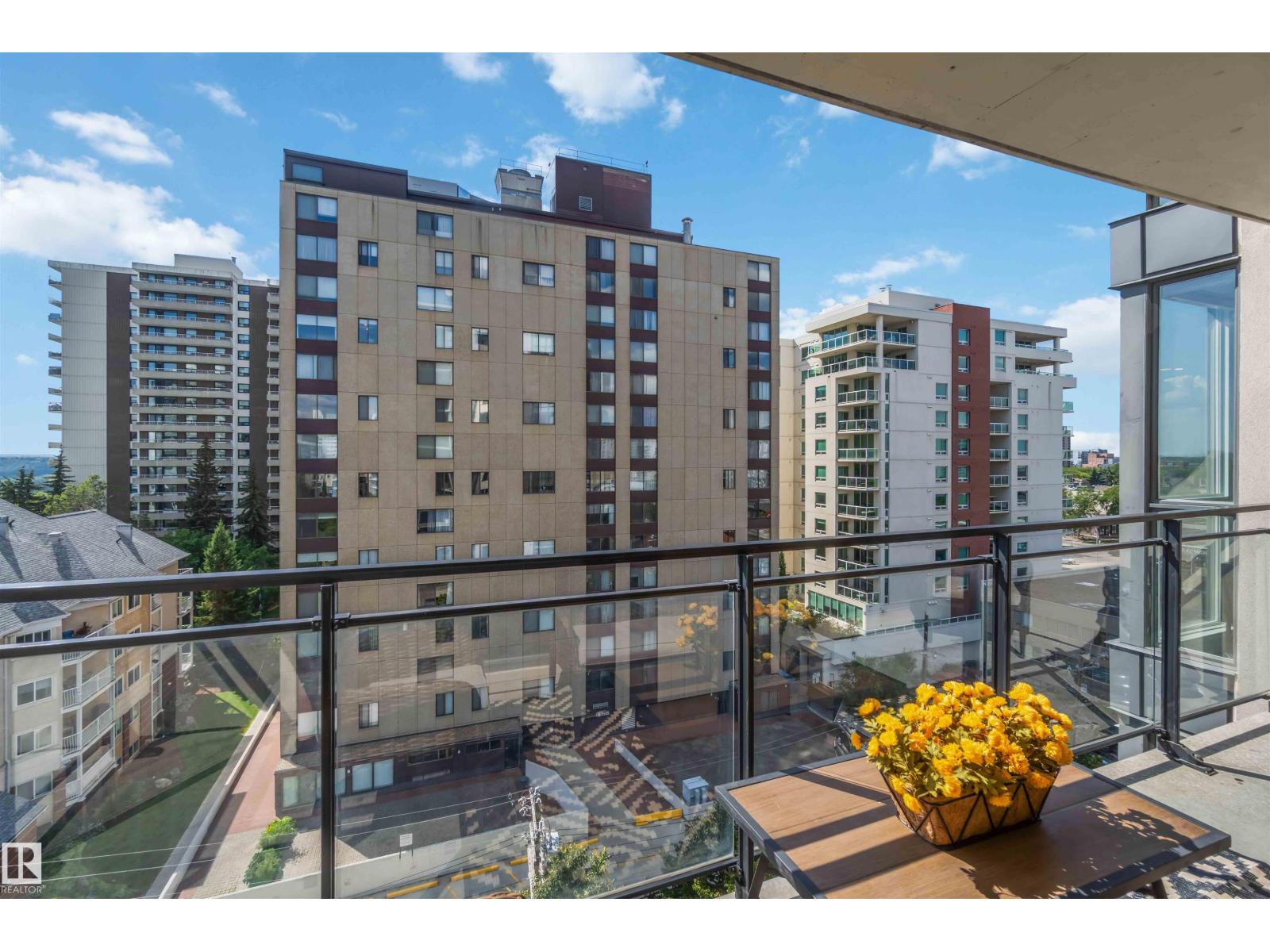 #802 10046 117 ST NW - 30