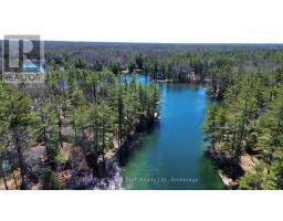 3609 Riverdale Drive, Severn, ON L0K2B0 Photo 13