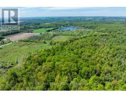 4148 Highway #2, Clarington, ON L1B1L9 Photo 8