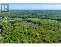 4148 Highway #2, Clarington, ON L1B1L9 Photo 19