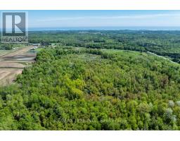 4148 Highway #2, Clarington, ON L1B1L9 Photo 13
