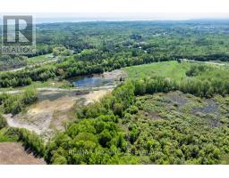 4148 Highway #2, Clarington, ON L1B1L9 Photo 9