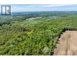 4148 Highway #2, Clarington, ON L1B1L9 Photo 16