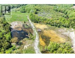 4148 Highway #2, Clarington, ON L1B1L9 Photo 12