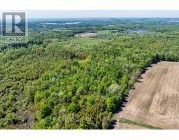 4148 Highway #2, Clarington, ON L1B1L9 Photo 15