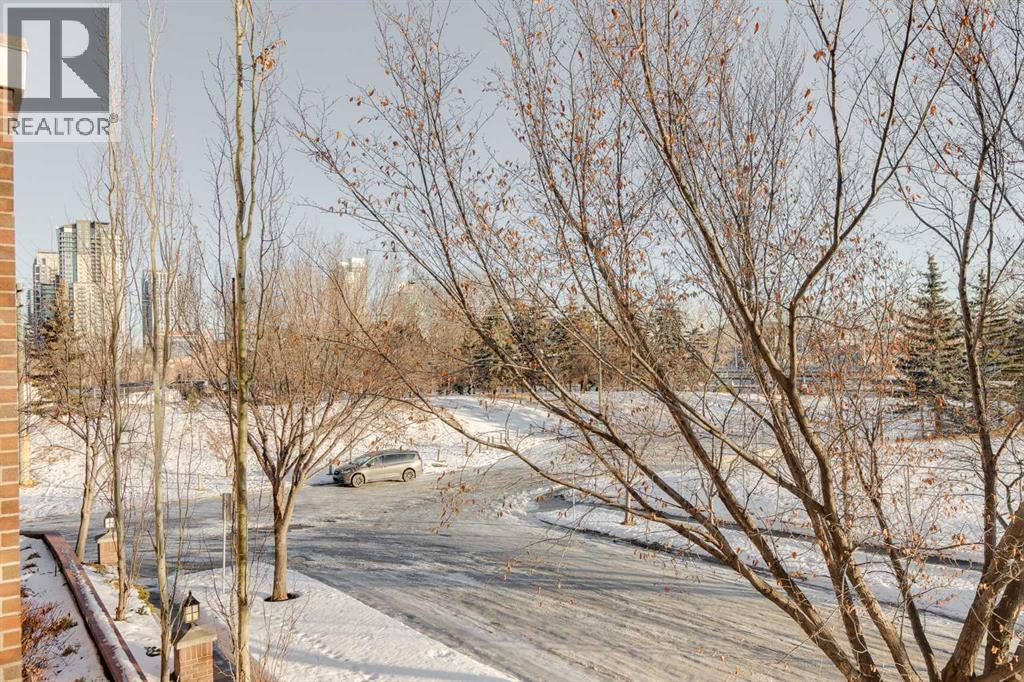 #205 59 22 Avenue SW - 24