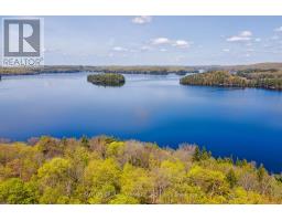 3 - 4209 Muskoka Road 117, Lake Of Bays, ON P0B1A0 Photo 49
