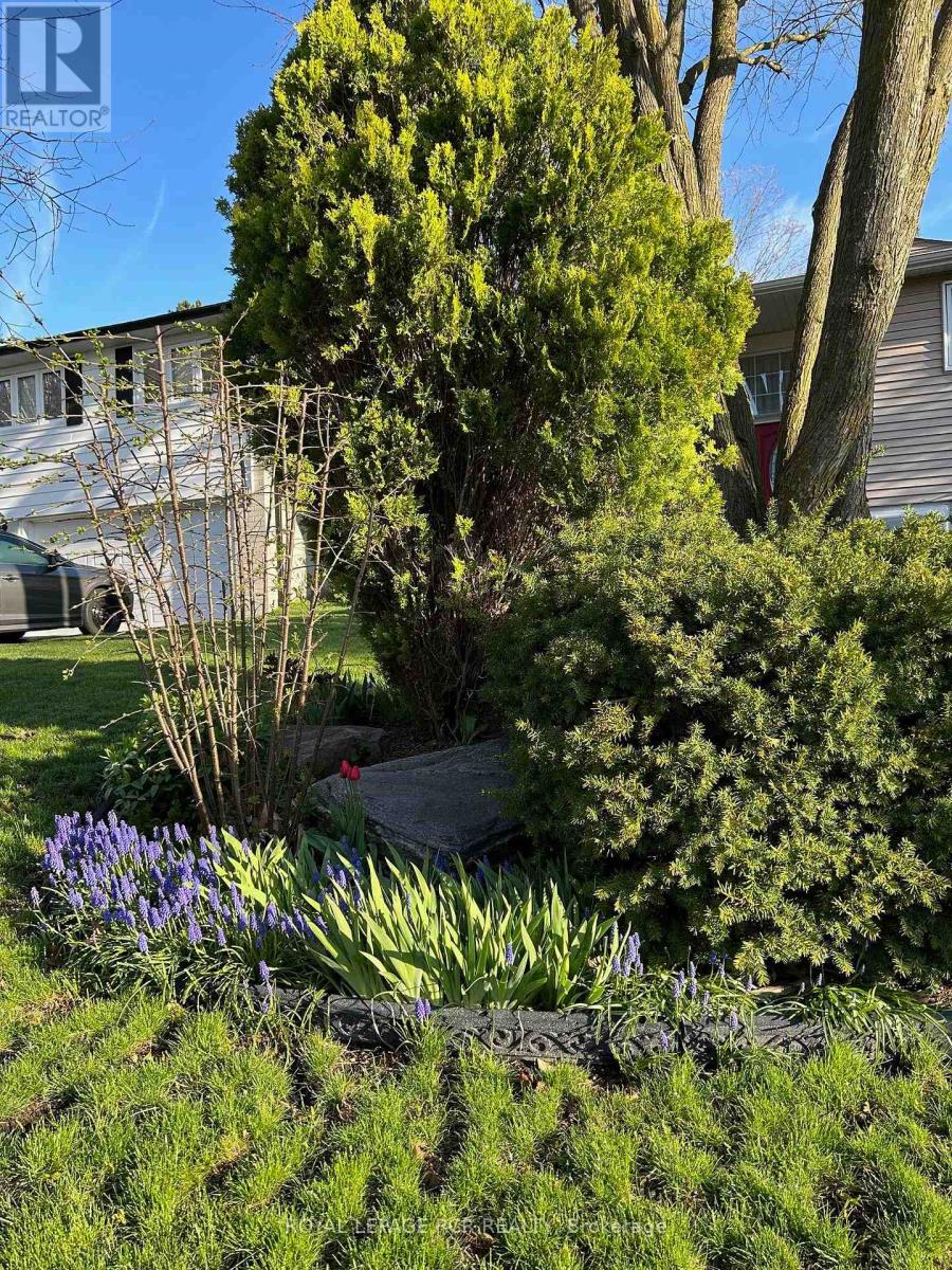115 BESWICK DRIVE - 48