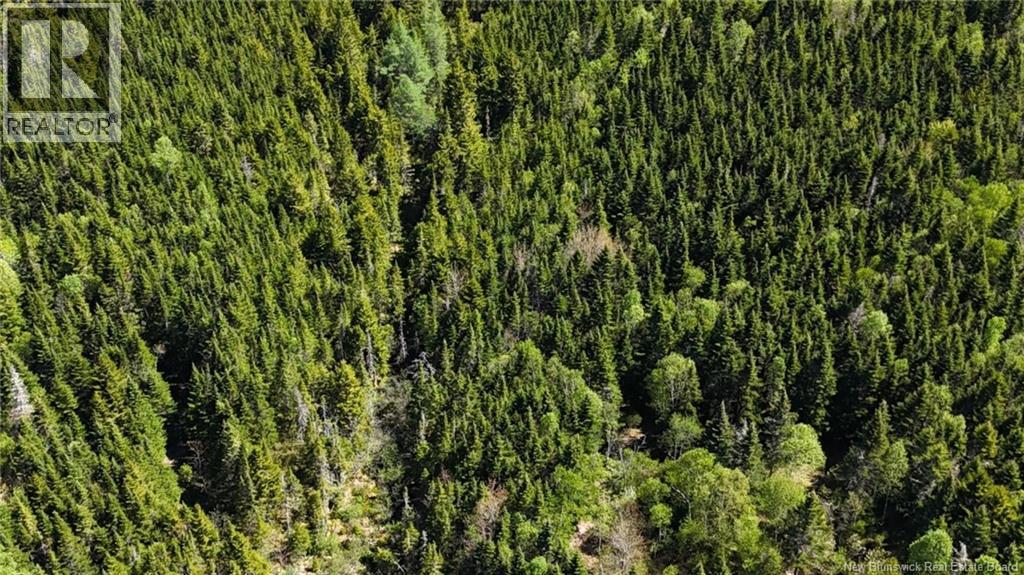 Lot Otter Lake Road, Baxters Corner — photo 3