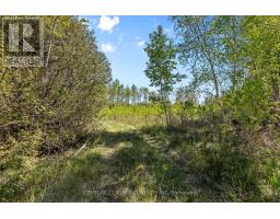 1211 Van Buren Street, North Grenville, ON K0G1J0 Photo 11