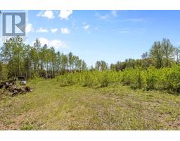 1211 Van Buren Street, North Grenville, ON K0G1J0 Photo 12
