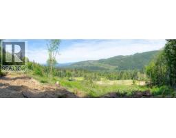 3775 Mountain Rd, Duncan, BC V9L6N4 Photo 57