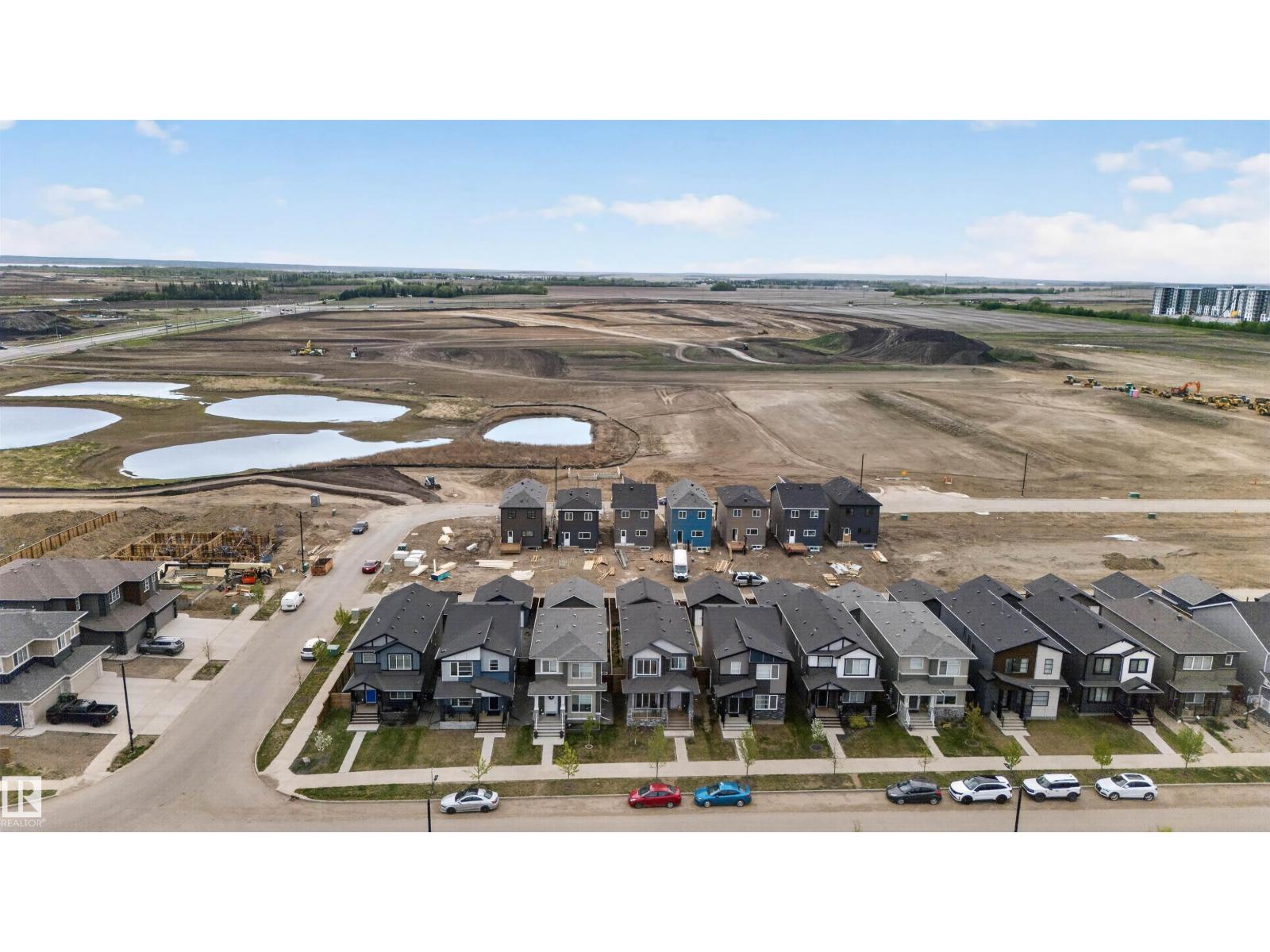 45 RIVER BIRCH - 39