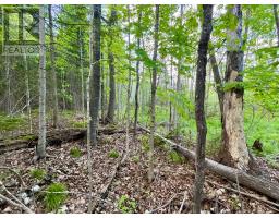Pt Lt 9 Foymount Road, Bonnechere Valley, ON K0J1M0 Photo 10