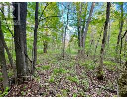 Pt Lt 9 Foymount Road, Bonnechere Valley, ON K0J1M0 Photo 11