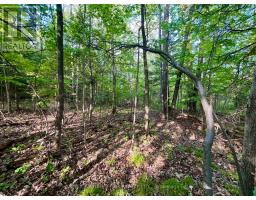 Pt Lt 9 Foymount Road, Bonnechere Valley, ON K0J1M0 Photo 12