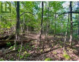 Pt Lt 9 Foymount Road, Bonnechere Valley, ON K0J1M0 Photo 13