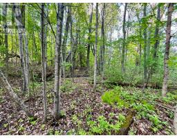 Pt Lt 9 Foymount Road, Bonnechere Valley, ON K0J1M0 Photo 14