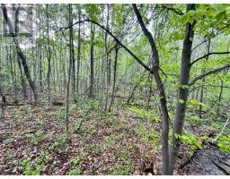 Pt Lt 9 Foymount Road, Bonnechere Valley, ON K0J1M0 Photo 15