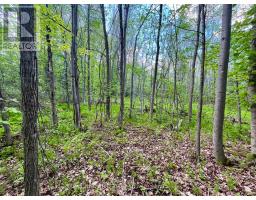 Pt Lt 9 Foymount Road, Bonnechere Valley, ON K0J1M0 Photo 16