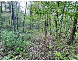 Pt Lt 9 Foymount Road, Bonnechere Valley, ON K0J1M0 Photo 17