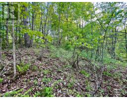 Pt Lt 9 Foymount Road, Bonnechere Valley, ON K0J1M0 Photo 18