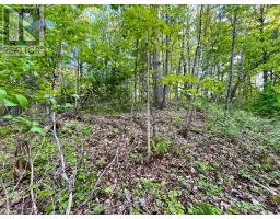 Pt Lt 9 Foymount Road, Bonnechere Valley, ON K0J1M0 Photo 19
