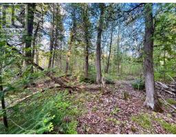 Pt Lt 9 Foymount Road, Bonnechere Valley, ON K0J1M0 Photo 20