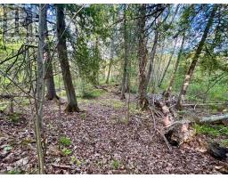 Pt Lt 9 Foymount Road, Bonnechere Valley, ON K0J1M0 Photo 21