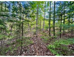Pt Lt 9 Foymount Road, Bonnechere Valley, ON K0J1M0 Photo 22
