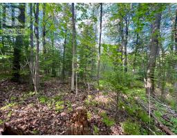 Pt Lt 9 Foymount Road, Bonnechere Valley, ON K0J1M0 Photo 23
