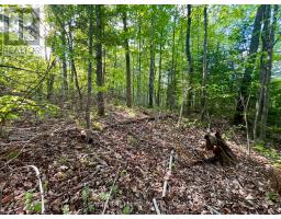 Pt Lt 9 Foymount Road, Bonnechere Valley, ON K0J1M0 Photo 24