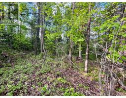 Pt Lt 9 Foymount Road, Bonnechere Valley, ON K0J1M0 Photo 25