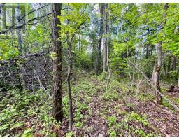 Pt Lt 9 Foymount Road, Bonnechere Valley, ON K0J1M0 Photo 26