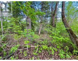 Pt Lt 9 Foymount Road, Bonnechere Valley, ON K0J1M0 Photo 28