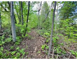 Pt Lt 9 Foymount Road, Bonnechere Valley, ON K0J1M0 Photo 29