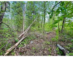 Pt Lt 9 Foymount Road, Bonnechere Valley, ON K0J1M0 Photo 30